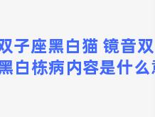 双子座黑白猫 镜音双子的黑白栋病内容是什么意思